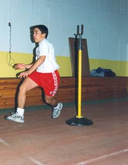 Entrenamiento de la fuerza entrenamiento rendimiento fisico fuerza