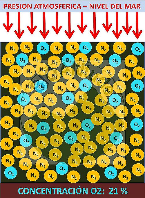 Composición del Aire (20,9% O2) a nivel del mar en una situación de Normoxia