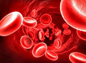 Globulos rojos para noticia Valores hematologicos