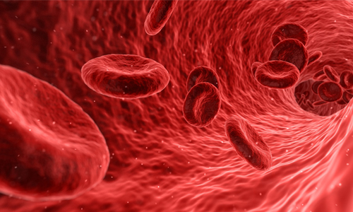 Elevación de Hematocrito y Regulación del Estímulo Hipóxico Adecuado en Ciclo de Hipoxia Normobárica Intermitente Nocturna