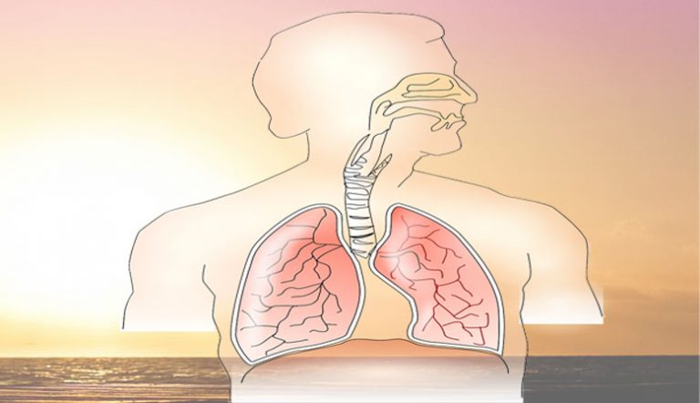 Imagen de la noticia efectos hipoxia en problemas cardiorrespiratorios y en mayores