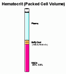 Hematocrito Globulos Rojos Sangre Eritrocitos