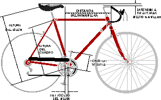 bicicleta medidas posicion ciclista