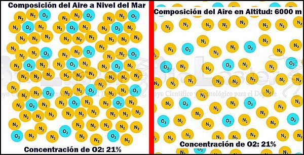 hipoxia natural artificial disminucin concentracin oxgeno saturacin arterial hif epo hemoglobina