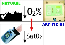 hipoxia natural artificial disminucion concentracion oxigeno