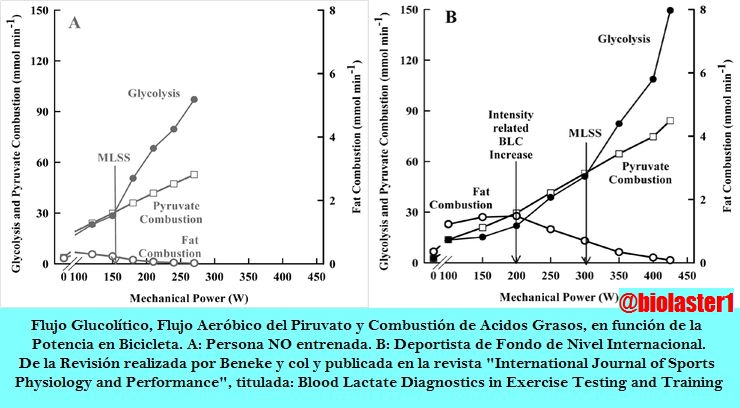 biolaster analisis lactato umbral cinetica entrenados evolucion rendimiento test esfuerzo