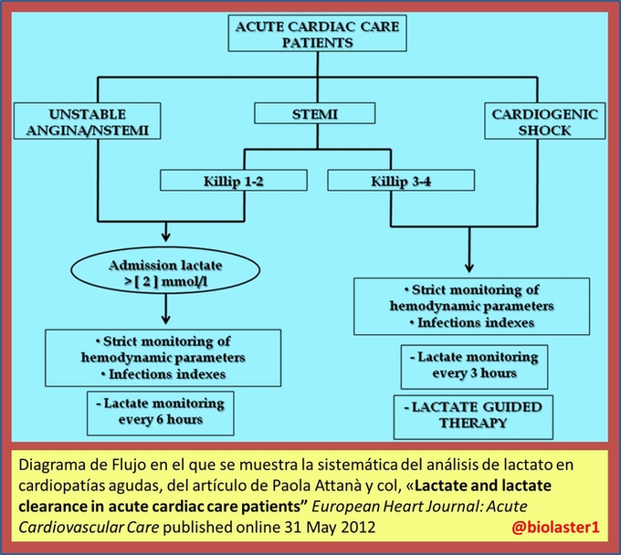 biolaster analisis lactato umbral cinetica aclaramiento cardiopatia aguda cardiovascular