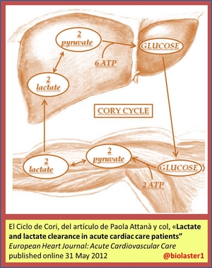 biolaster analisis lactato umbral cinetica aclaramiento cardiopatia aguda cardiovascular