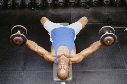 Fuerza Muscular y su Entrenamiento