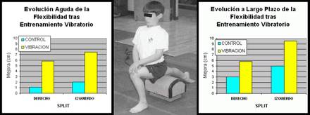 Entrenamiento de la Flexibilidad mediante Vibraciones Mecánicas
