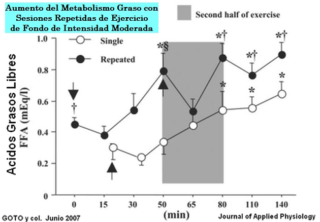 Aumento del metabolismo de las grasas mediante repeticiones de ejercicio de fondo a intensidad moderada