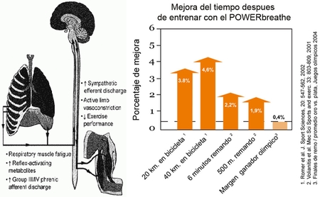 El Entrenamiento de la Musculatura Inspiratoria como Ayuda Ergognica en el Deporte