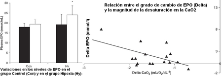 La exposicion aguda a la Hipoxia estimula la produccion de eritropoyetina (EPO)