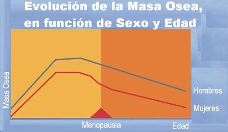 La realización de ejercicio físico durante la lactancia puede ayudar a prevenir la Osteoporosis