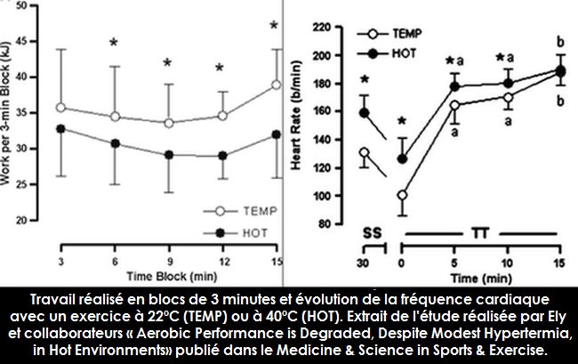 La Chaleur diminue la Performance Aérobie, même dans le cas d'une Hyperthermie légère et d'une Activité Physique de Courte durée