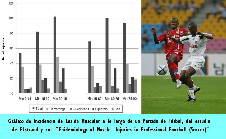 Epidemiologa de las Lesiones Musculares en el Ftbol Profesional