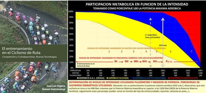 El Entrenamiento en el Ciclismo de Ruta, Nuevo Libro a la venta en Biolaster