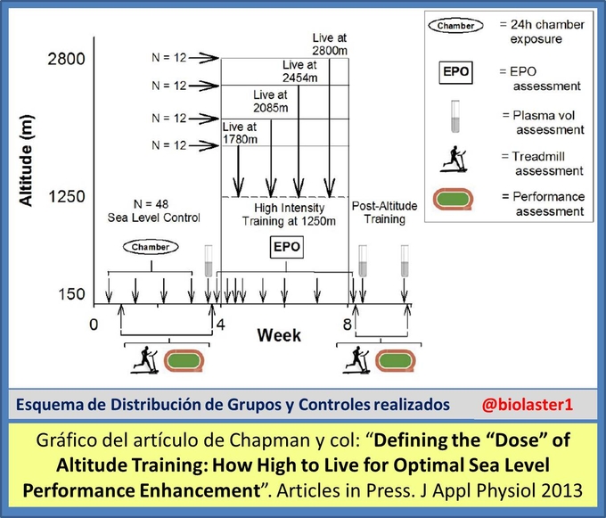 Entrenamiento en Altura: Cual es la Altitud Ideal para Mejorar  el Rendimiento a Nivel del Mar?