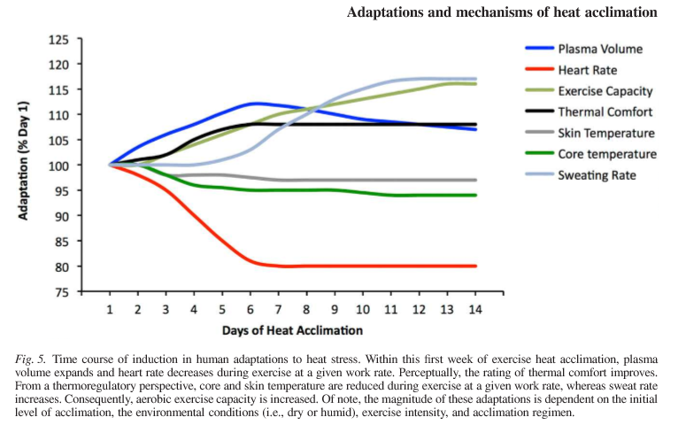 Adaptaciones y Mecanismos de Aclimatacin al Calor : Aplicaciones para Deportistas Competitivos
