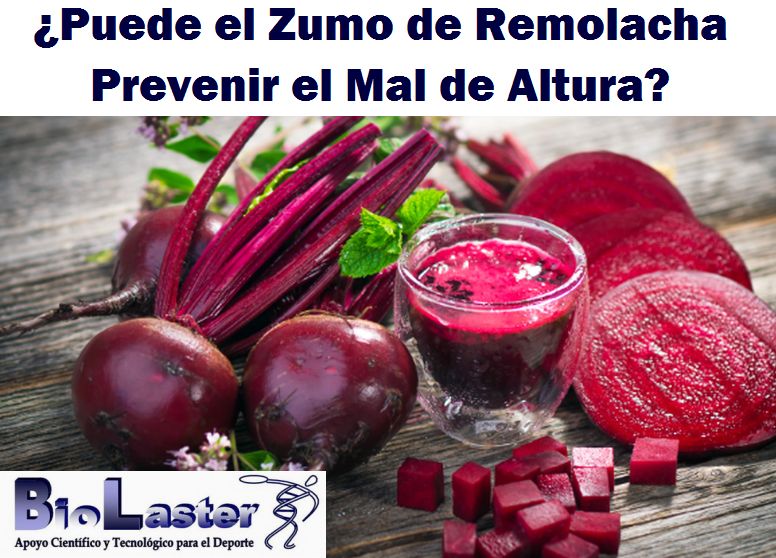 Beber Zumo de Remolacha podra ser un Eficaz Remedio para Combatir el Mal de Altura