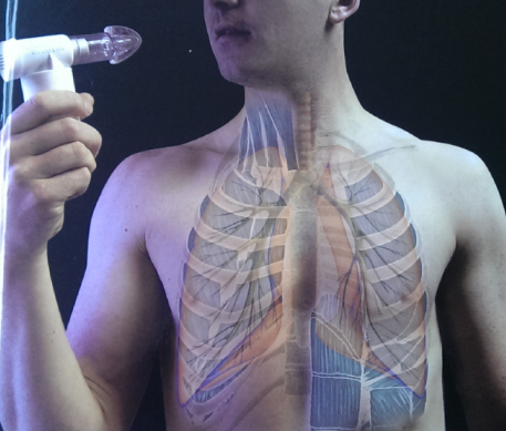 Entrenamiento de la Musculatura Respiratoria: ¿Somos realmente conscientes de su Potencial?