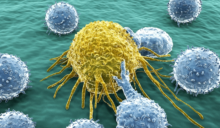 ¿Por qué el ejercicio puede ser una importante arma para frenar el cáncer?