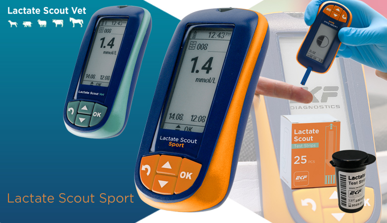 Lactate Scout Sport, nuevo analizador de lactato