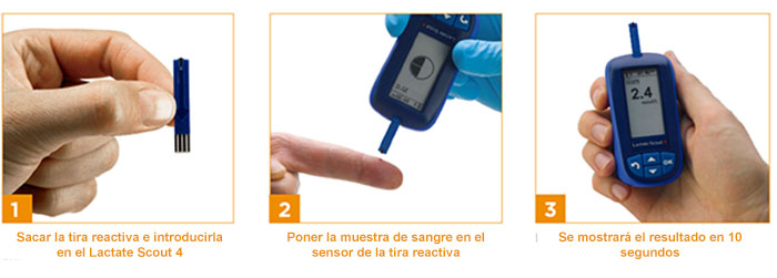 analisis acido lactico sangre rendimiento fisico