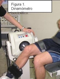 vibralaster plataforma vibratoria entrenamiento fuerza muscular whole body vibration dinamometria isocinetica