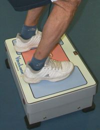vibralaster plataforma vibratoria entrenamiento fuerza muscular whole body vibration