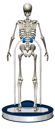 plataforma vibratoria Galileo entrenamiento fuerza muscular whole body vibration