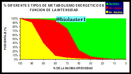 metabolismo energia intensidad ejercicio fisico anaerobico alactico lactico aerobico