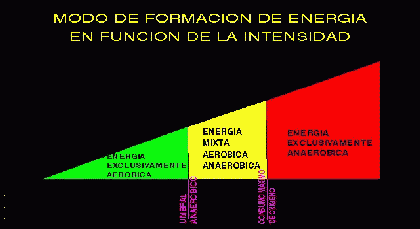 aerobico anaerobico umbral lactato produccion energia